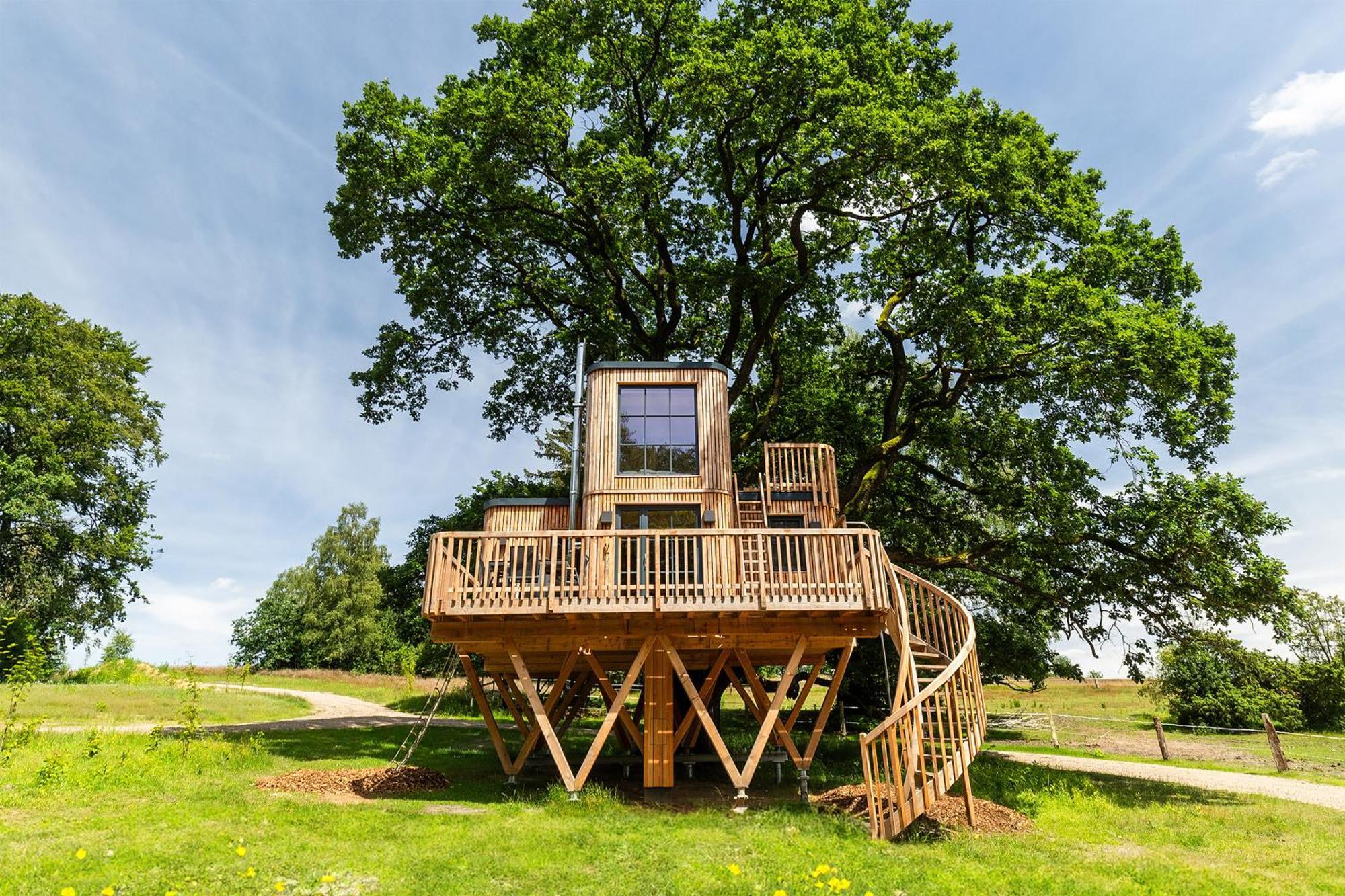 Heide Ferien - Hof Bockelmann Apartment Bispingen Cameră foto