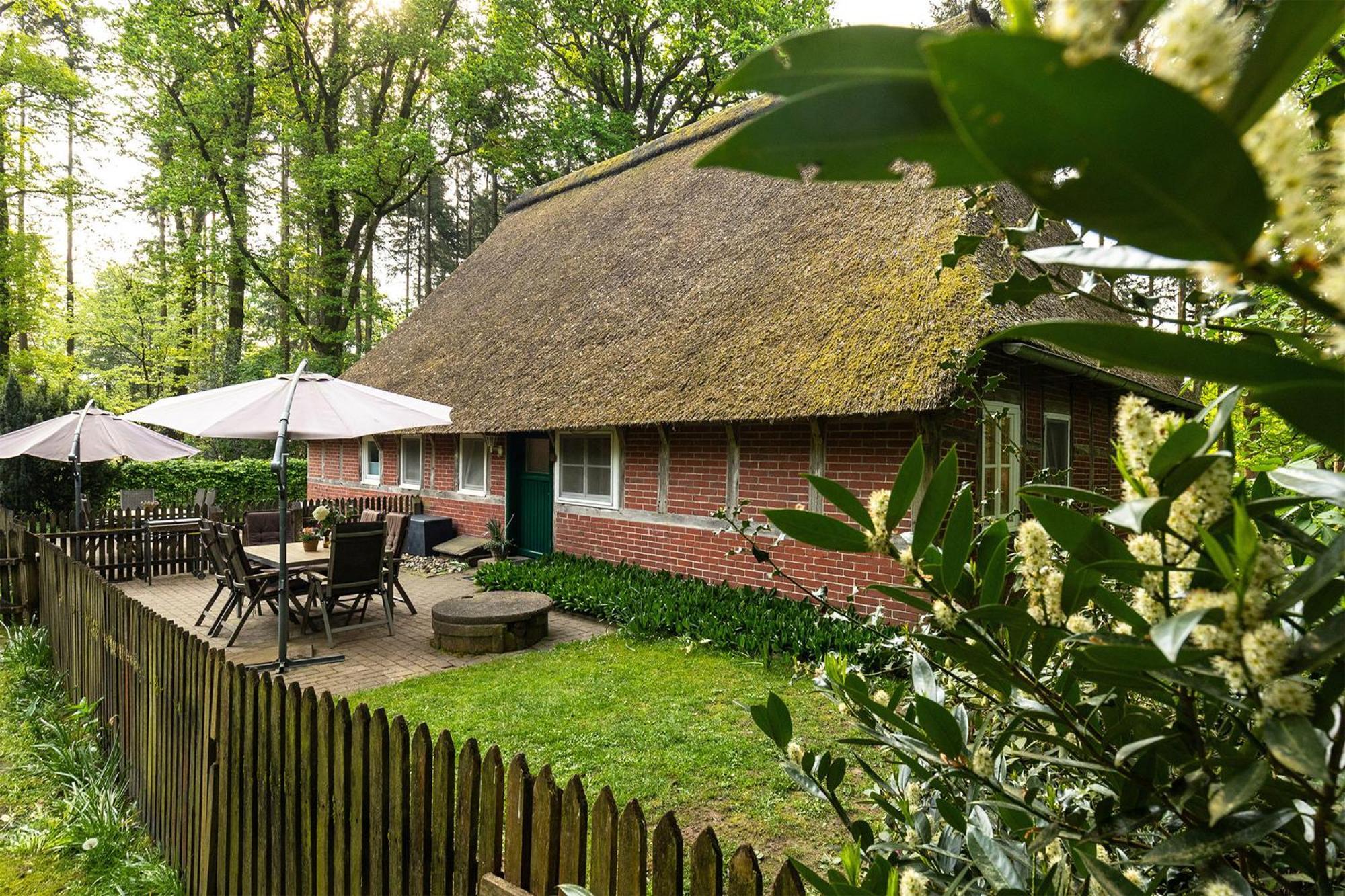 Heide Ferien - Hof Bockelmann Apartment Bispingen Cameră foto