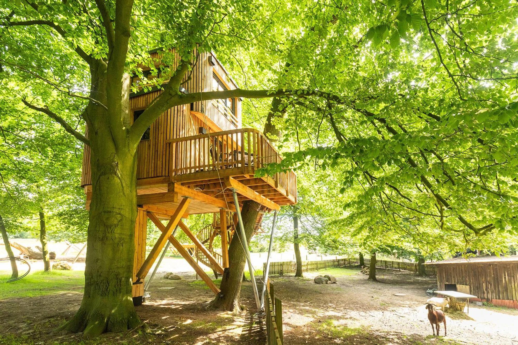 Heide Ferien - Hof Bockelmann Apartment Bispingen Exterior foto