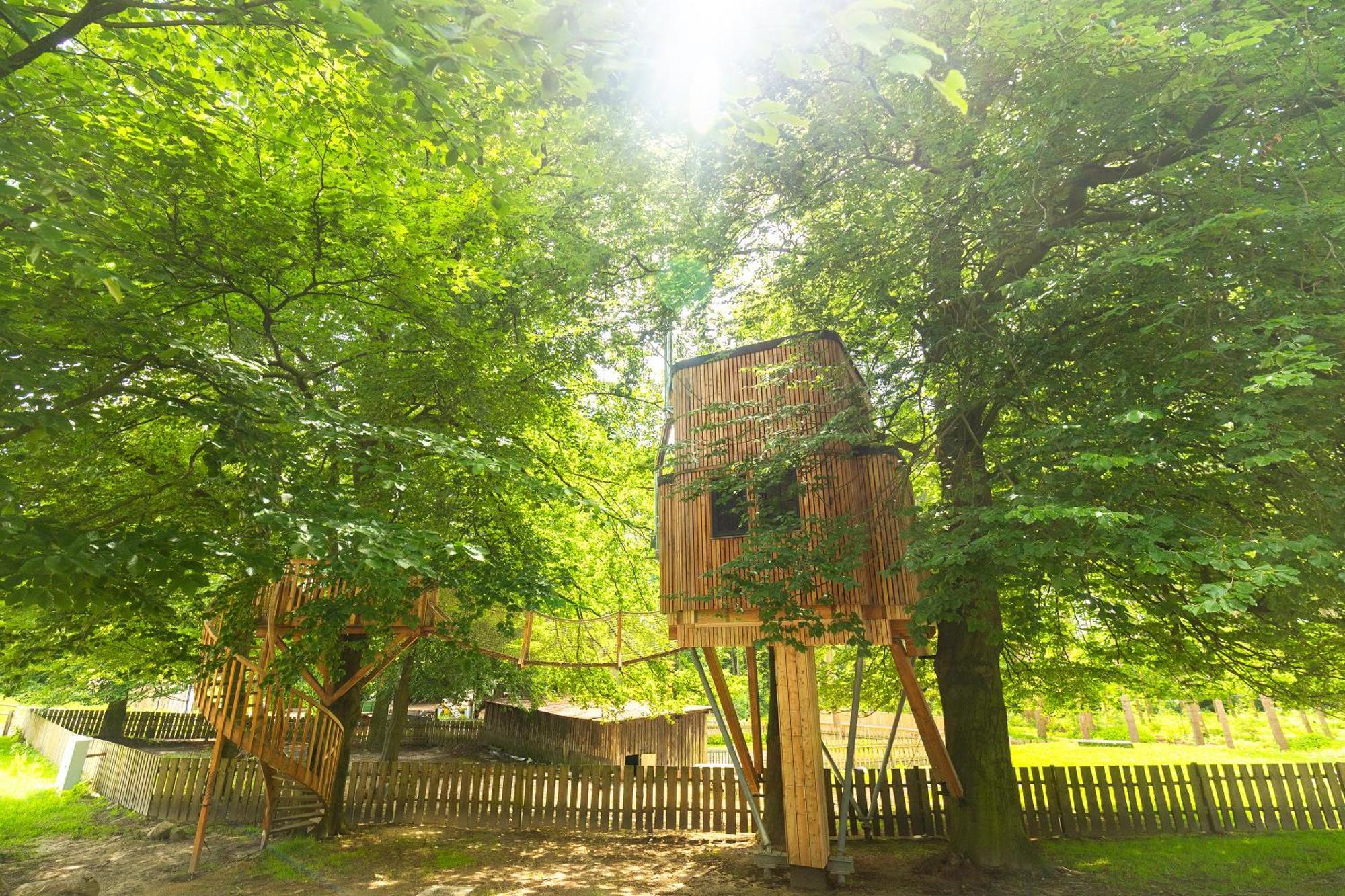 Heide Ferien - Hof Bockelmann Apartment Bispingen Cameră foto